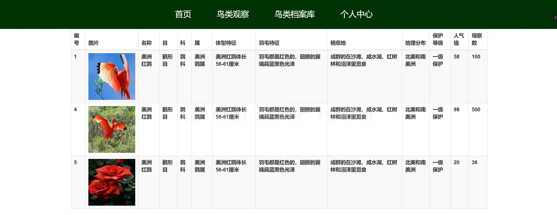 计算机视觉项目课：基于Django和YoloV8的鸟类识别智能平台 (图2)